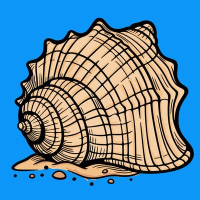 sea shell