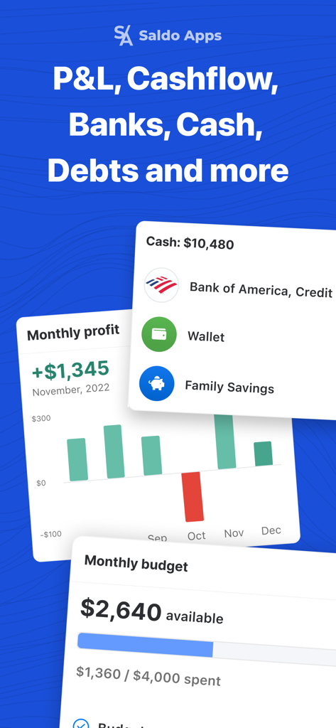 Saldo: Finance Management App - Saldo app interface showing monthly profit cash flow and budget details