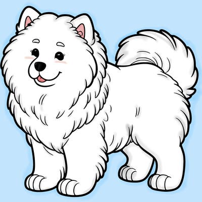 samoyed