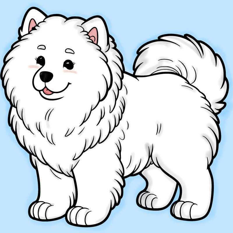 samoyed