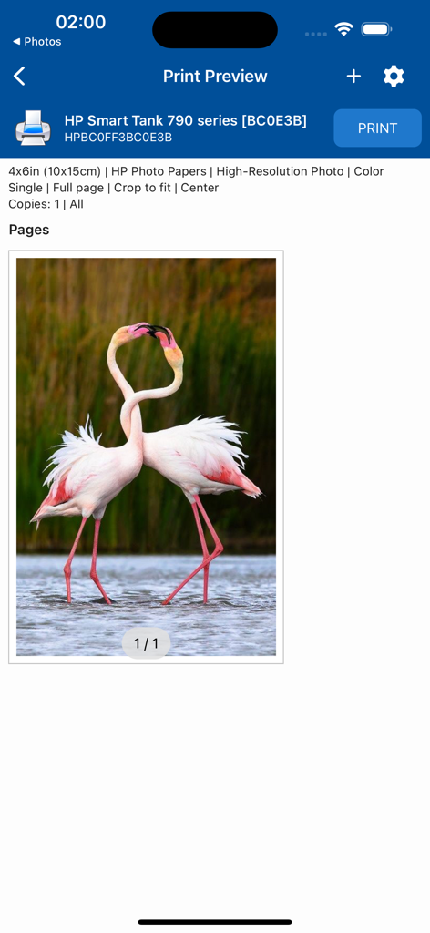 NokoPrint app print preview screen showing a flamingo photo being prepared for an HP Smart Tank printer