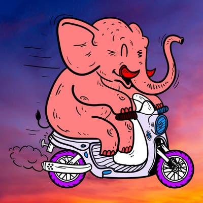 animals_21
