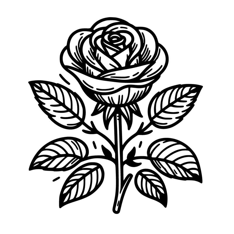 rose