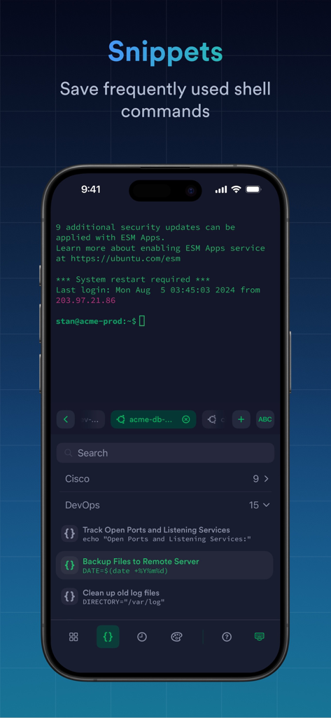 A screenshot of the Termius app displaying the snippets feature with saved shell commands for DevOps tasks like backing up files and cleaning log files.