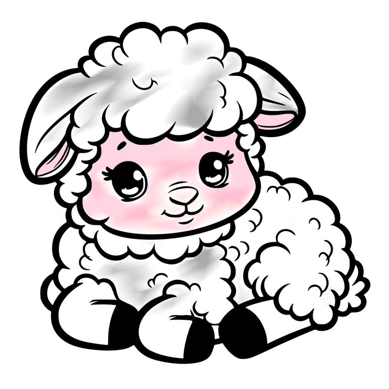 a baby sheep