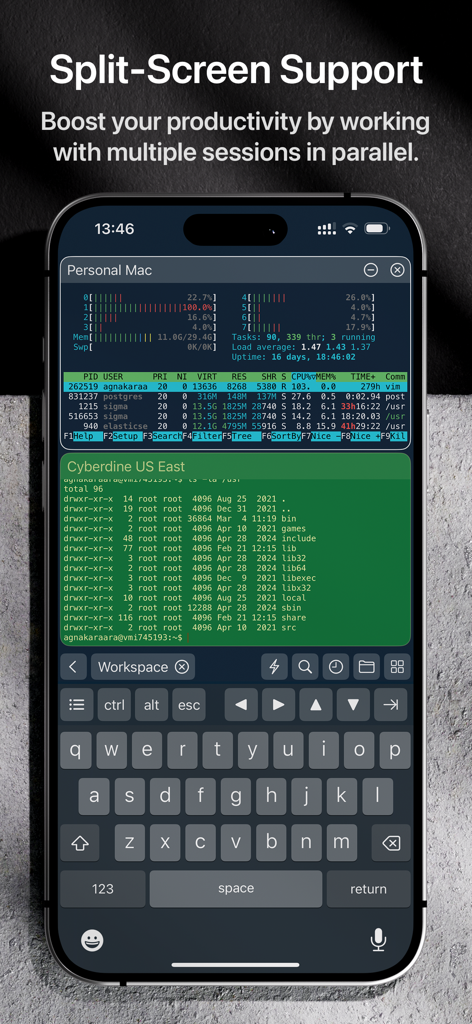 Termix: SSH Client & Terminal - iPhone screen showing Termix app with two SSH terminal sessions running simultaneously in split screen mode