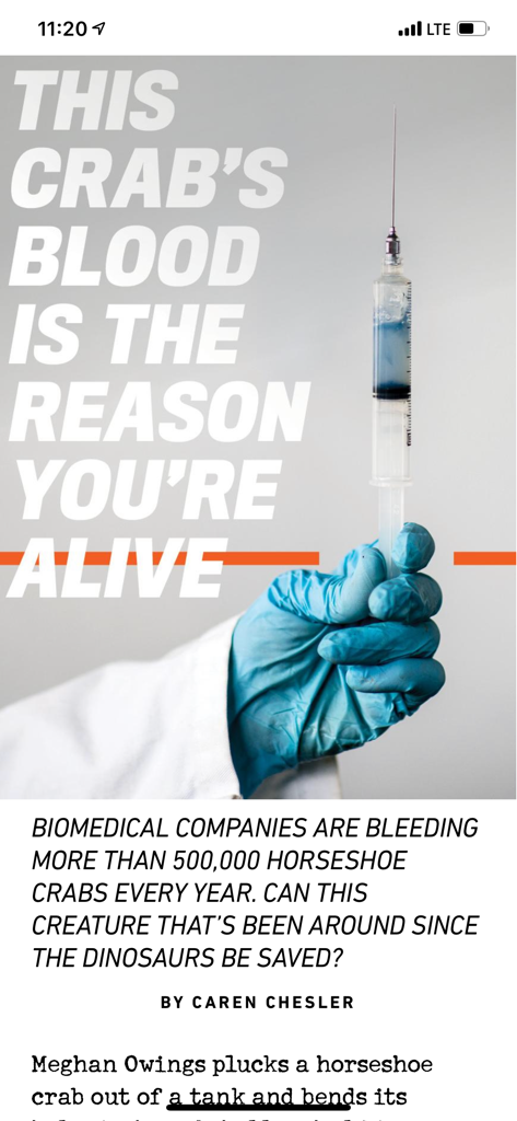 Popular Mechanics Magazine US - A Popular Mechanics digital magazine article featuring a hand holding a syringe of blue horseshoe crab blood for medical research.