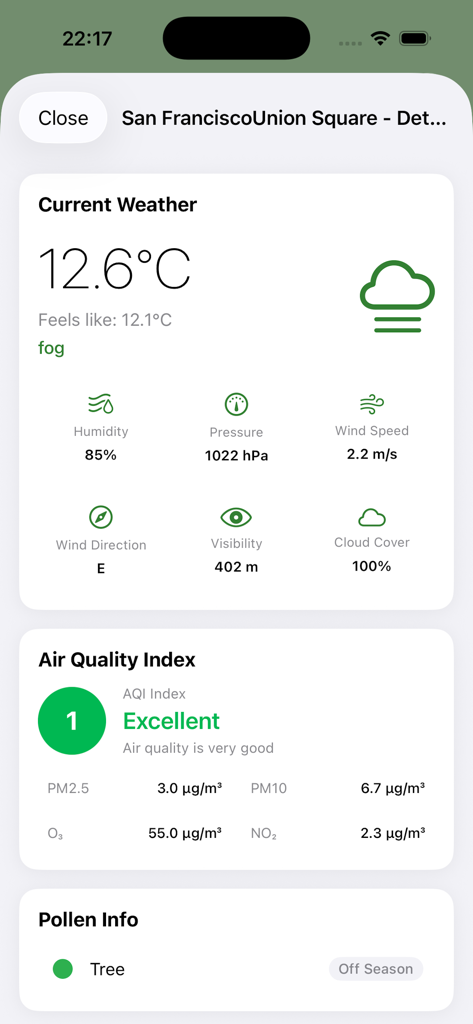 Thermometer - Digital Meter - Interface of the Thermometer app showing detailed weather data including air quality index and pollen information for San Francisco