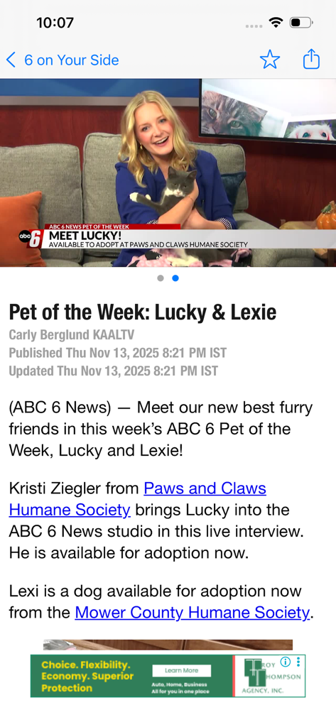 KAAL ABC 6 NEWS Minnesota Iowa - A screenshot of the KAAL ABC 6 News app showing a Pet of the Week article for animal adoption