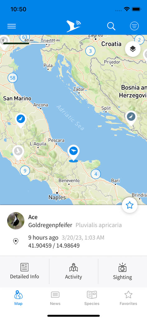 Animal Tracker - Map view of the Animal Tracker app displaying the location of a tracked bird named Ace