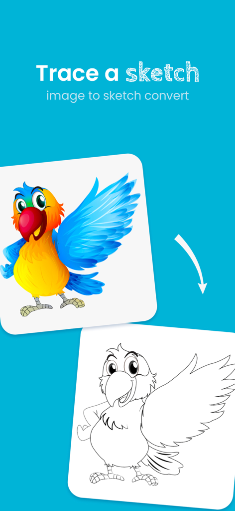 AR Draw - Paint & Sketch - Una imagen que muestra un loro colorido siendo convertido en un boceto en blanco y negro para calcar