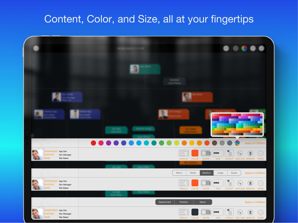 OrgChart - Organization Chart - iPad-Bildschirm, der Optionen zur Anpassung des Organigramms zeigt, einschließlich Farbpalette und Einheitengrößeneinstellungen