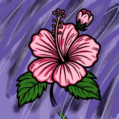hibiscus flower
