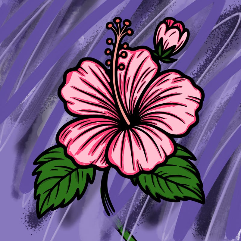 hibiscus flower