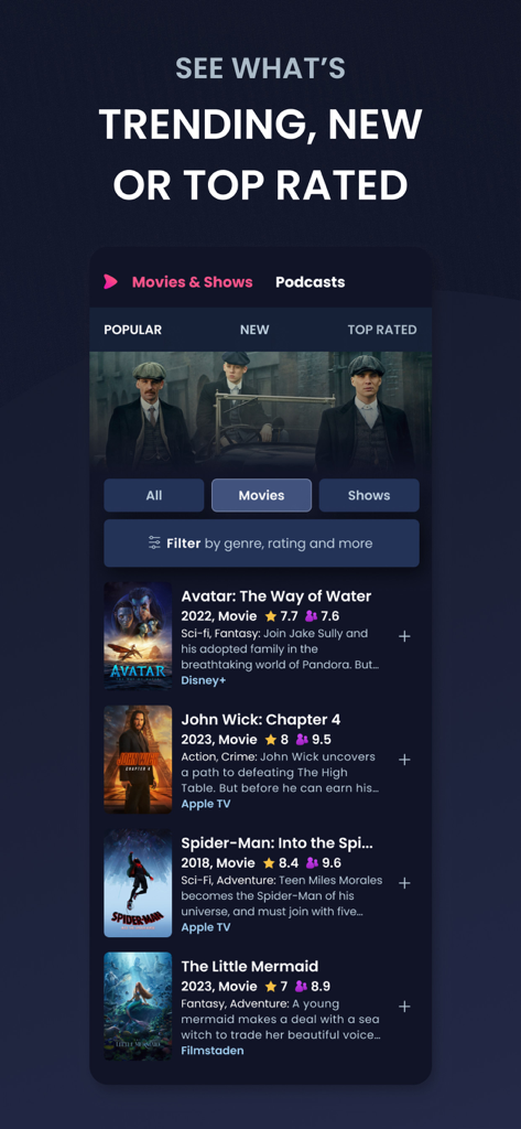 PlayPilot - PlayPilot app screen showing popular movies with ratings and streaming platforms.
