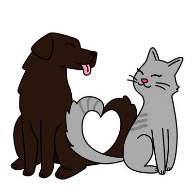 animals_22