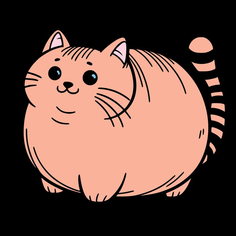 a fat cat