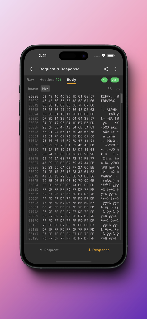 Reqable - Reqable HexViewer che mostra il corpo della risposta API in formato hex