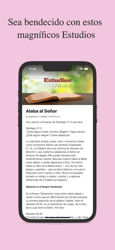 Estudios Bíblicos Profundos - Pantalla de estudio bíblico en español titulada Alaba al Señor con una Biblia abierta y una escritura de Santiago 5:13.