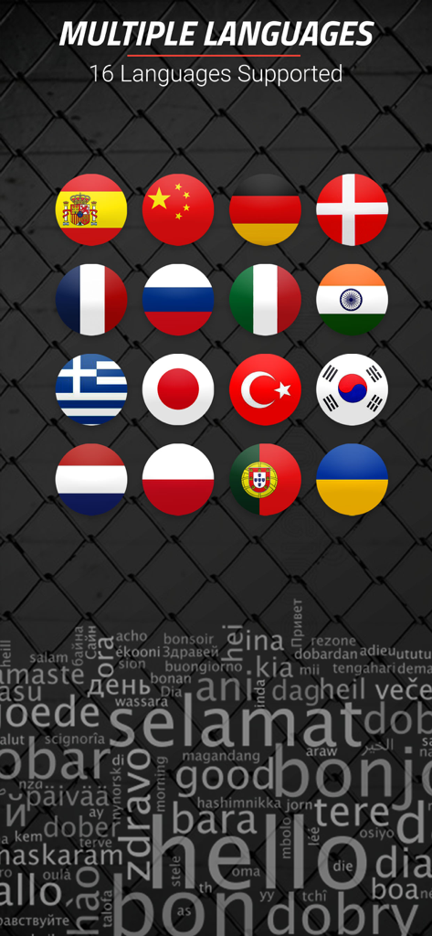 Screenshot showing 16 supported languages with national flags for the MMA Spartan fitness app