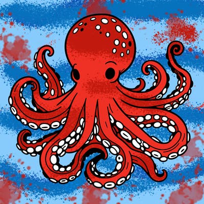 octopus
