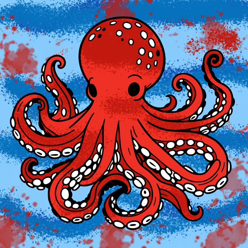 octopus