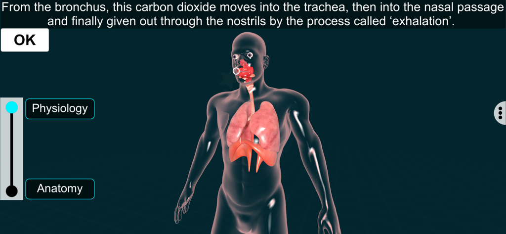 Respiratory Sys - EduTech Era - Visualización 3D del sistema respiratorio humano con una explicación de texto del proceso de exhalación
