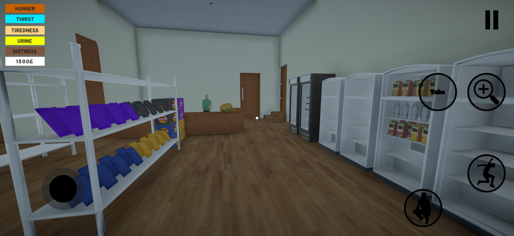 Egyptian Life - A first person view of a grocery store in the Egyptian Life simulation game with survival status bars.