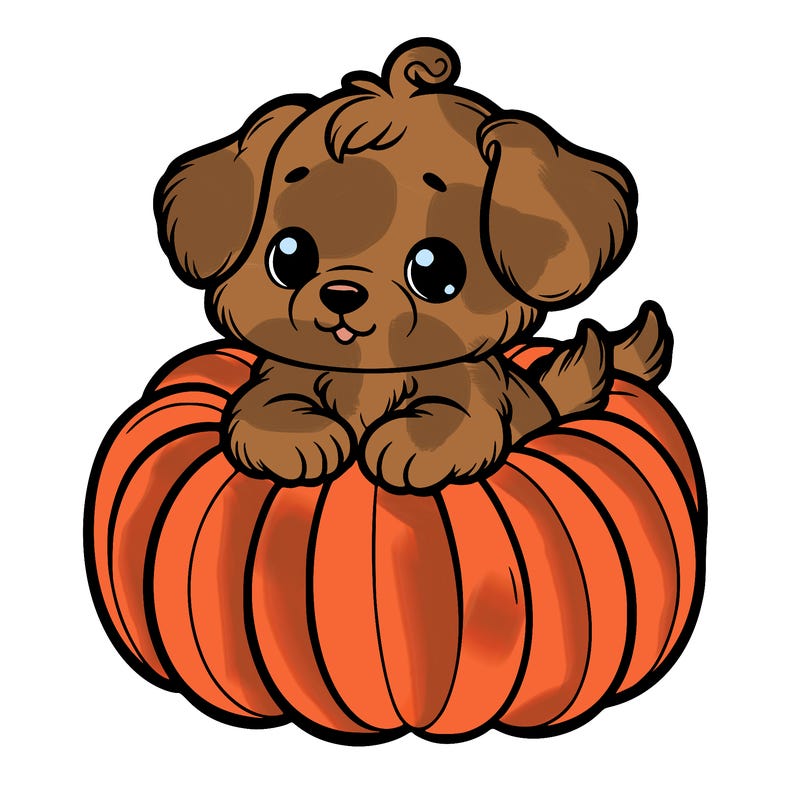 cute little puppy in a pumpkin