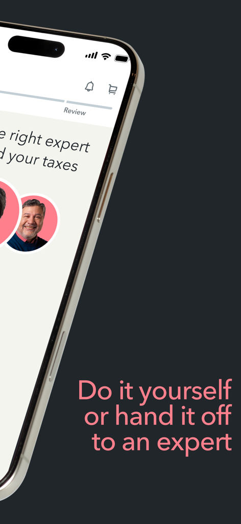 TurboTax mobile app interface showing options for DIY filing or hiring a tax expert