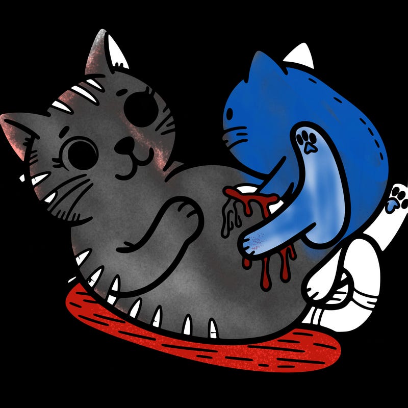 a pregnant cat giving birth