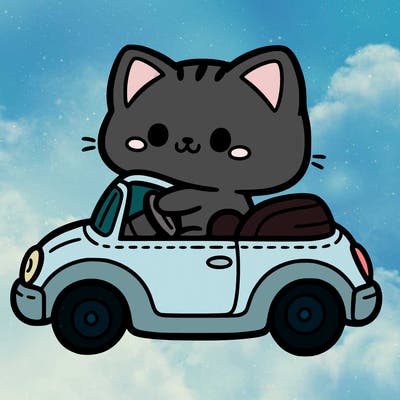 a cat riding a car