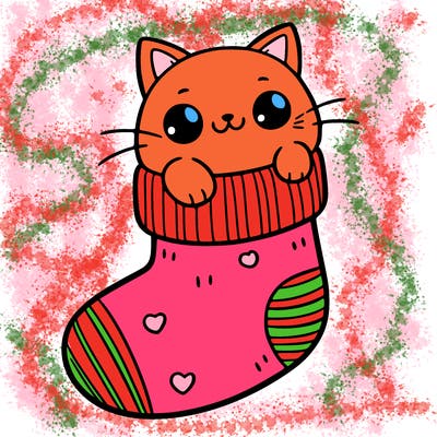 cute cat in a sock