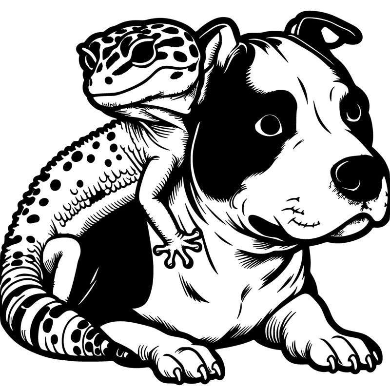 leopard gecko on pitbull head
