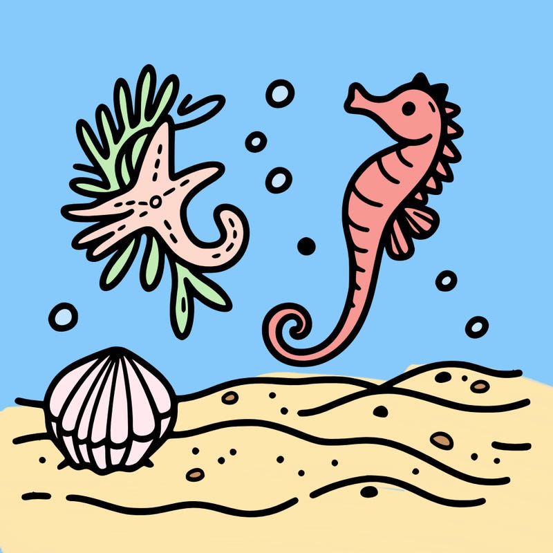 sand, sea horse, starfish