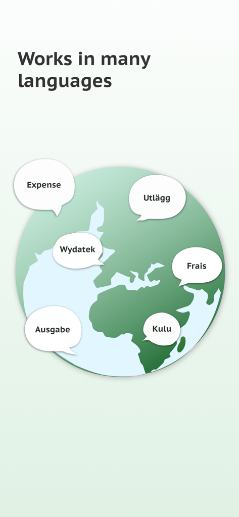 Un'illustrazione di un globo con fumetti che mostrano la parola spesa in diverse lingue come inglese, svedese, polacco e francese