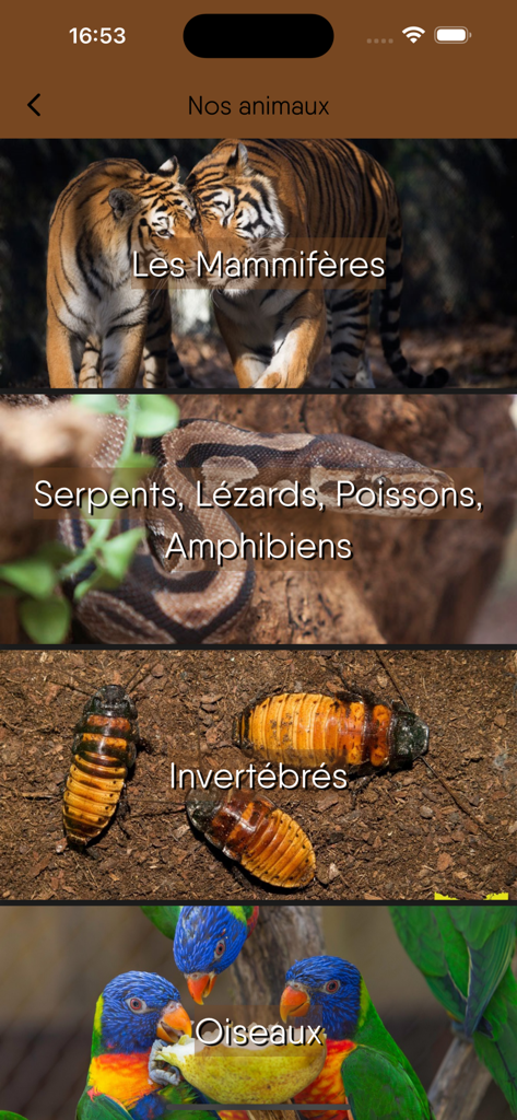 Schermata che mostra categorie di animali come mammiferi e uccelli nell'app WOW Thoiry ZooSafari
