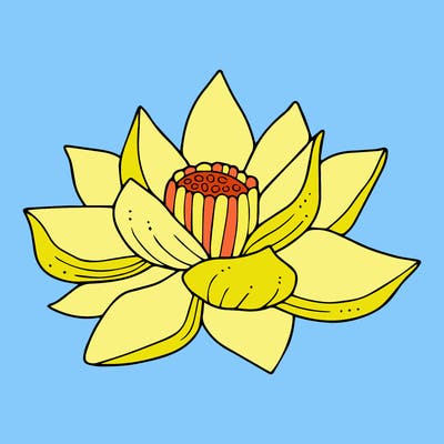 flowers_08