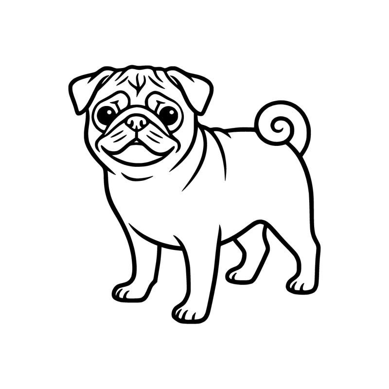 pug no open lines