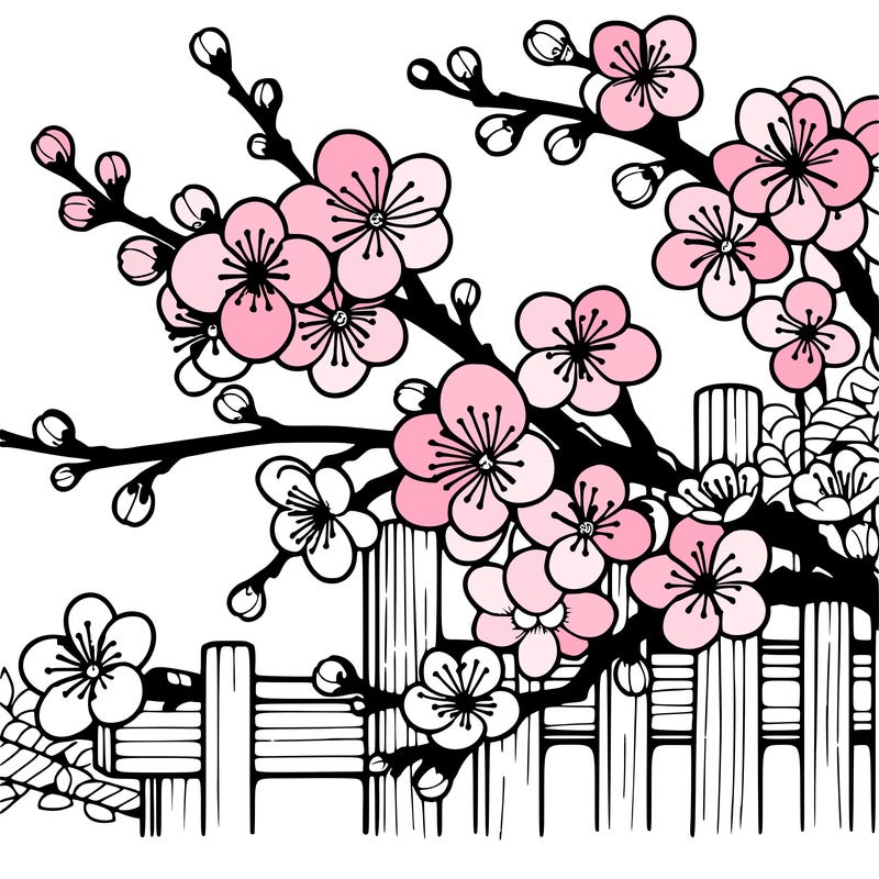 japan cherry blossom