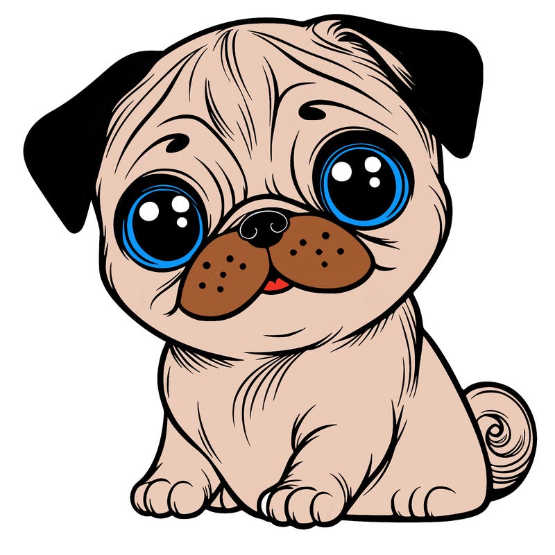 pug