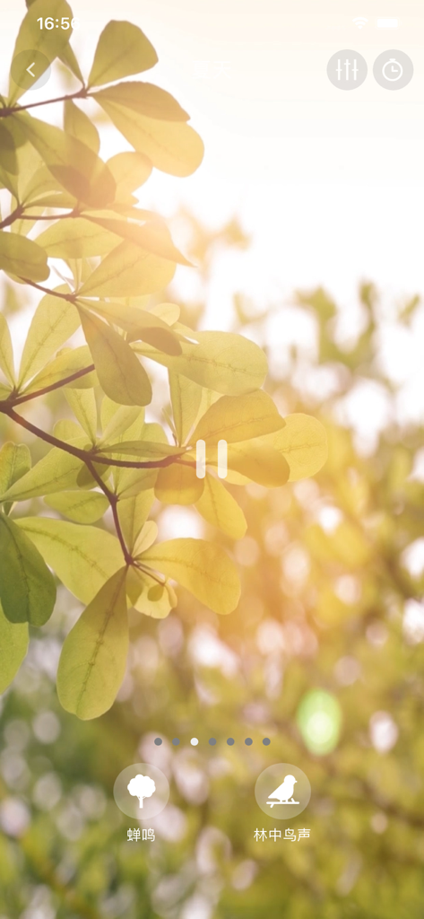 Nature themed interface with ambient sound options for bird and cicada chirps against a sunlit leaf background