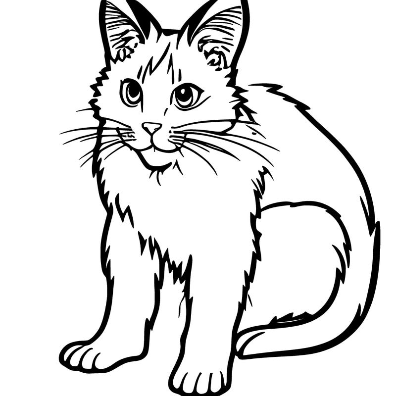 rat cat