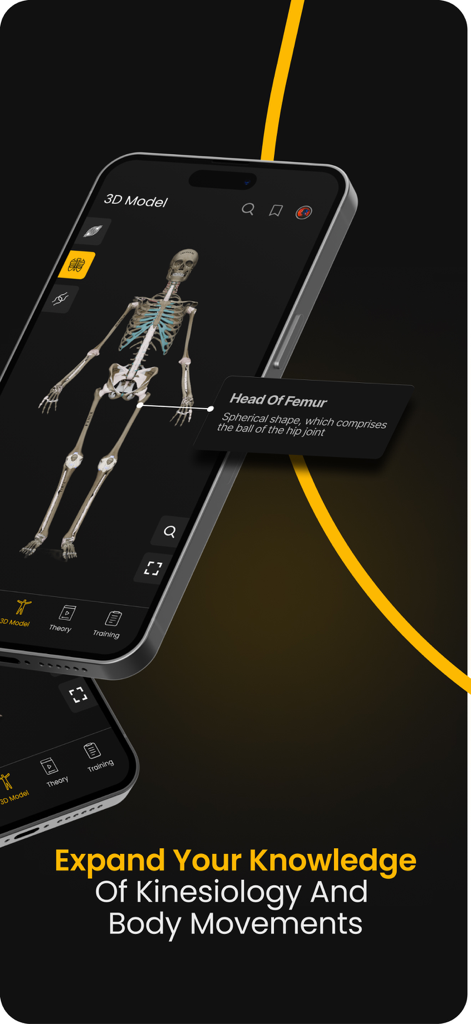 A mobile screen showing a 3D skeletal model with a description of the head of the femur for kinesiology learning