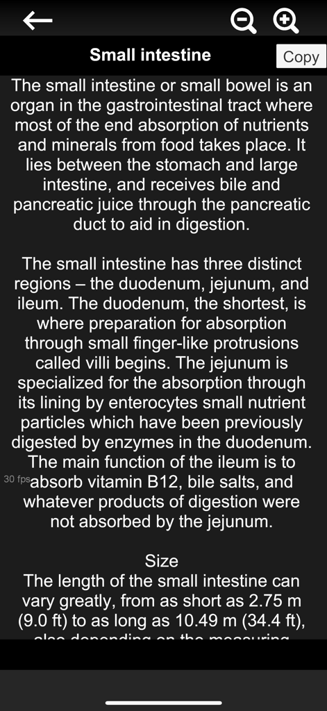 Texto educativo que detalla la anatomía y función del intestino delgado en la aplicación Organs 3D