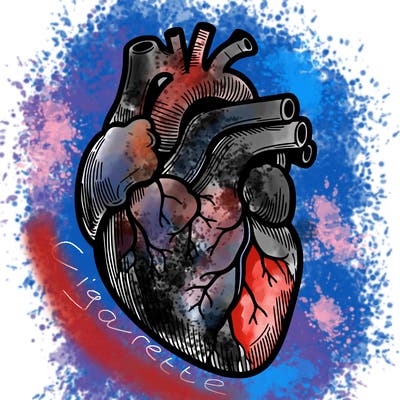 a realistic human heart