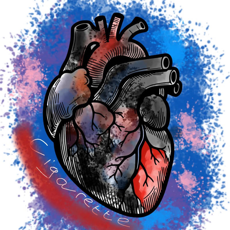 a realistic human heart