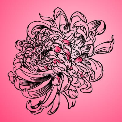 flowers_01