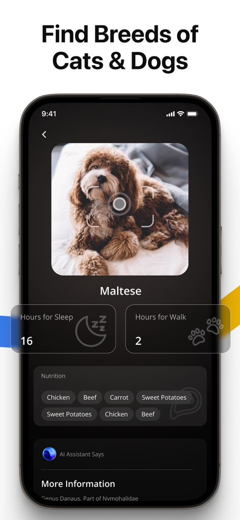 Lens AI app screen identifying a Maltese dog breed and providing pet care details