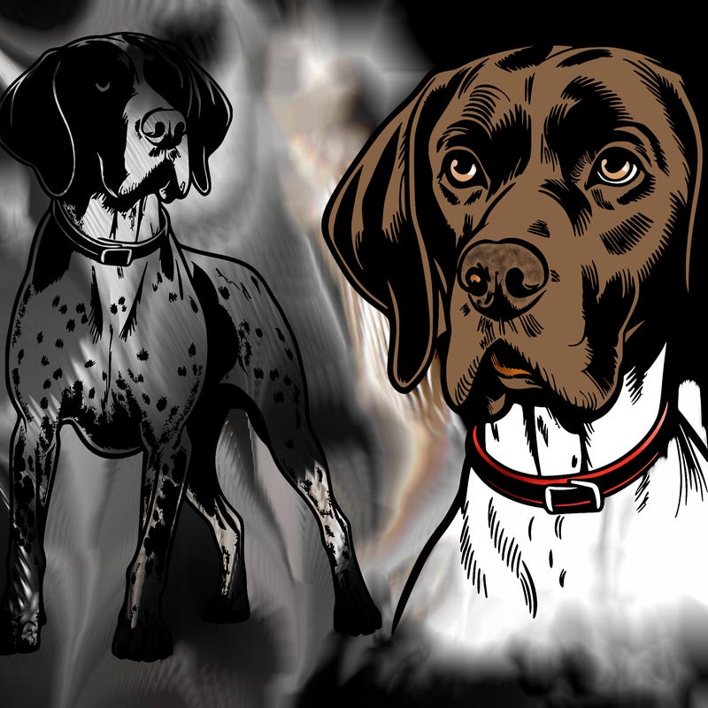 realistic german short haired pointer